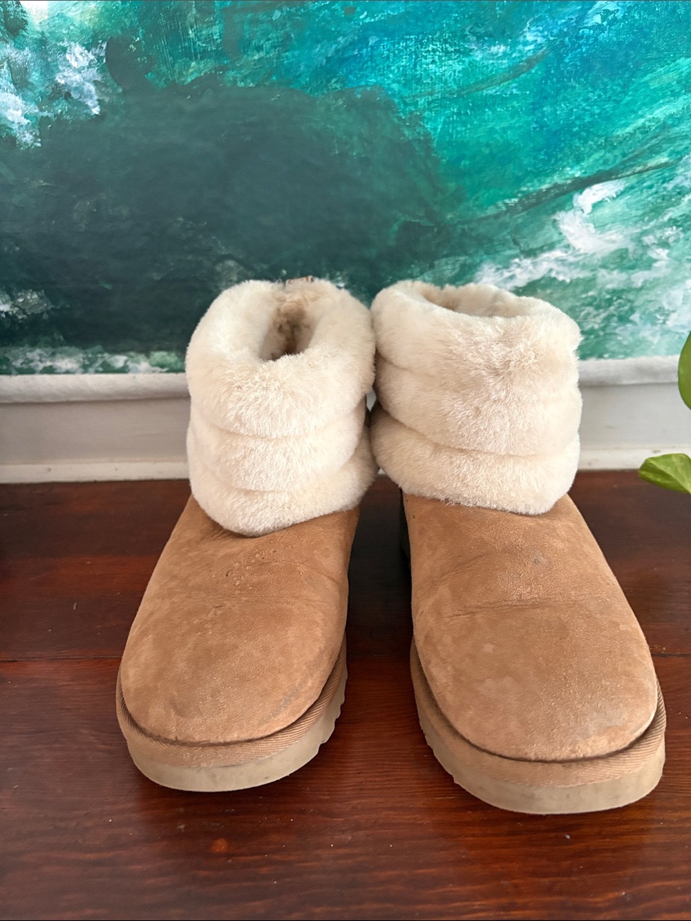 Ugg boots